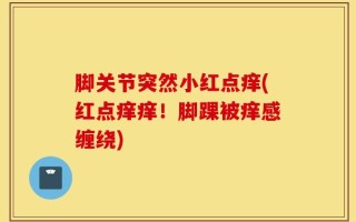 脚关节突然小红点痒(红点痒痒！脚踝被痒感缠绕)