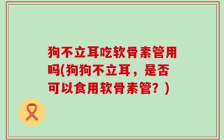 狗不立耳吃软骨素管用吗(狗狗不立耳，是否可以食用软骨素管？)
