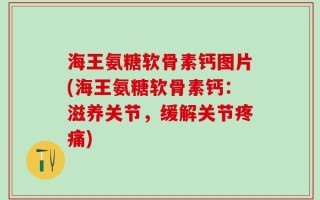 海王氨糖软骨素钙图片(海王氨糖软骨素钙：滋养关节，缓解关节疼痛)