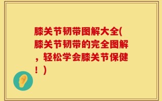 膝关节韧带图解大全(膝关节韧带的完全图解，轻松学会膝关节保健！)