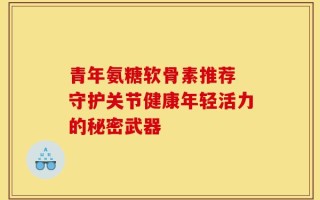 青年氨糖软骨素推荐 守护关节健康年轻活力的秘密武器