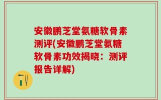 安徽鹏芝堂氨糖软骨素测评(安徽鹏芝堂氨糖软骨素功效揭晓：测评报告详解)