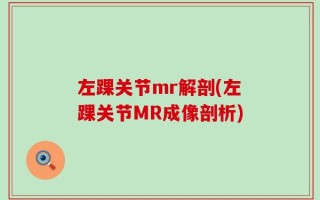左踝关节mr解剖(左踝关节MR成像剖析)