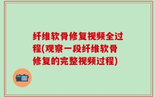 纤维软骨修复视频全过程(观察一段纤维软骨修复的完整视频过程)