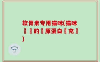 软骨素专用猫咪(猫咪專屬的膠原蛋白補充劑)