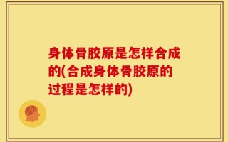 身体骨胶原是怎样合成的(合成身体骨胶原的过程是怎样的)