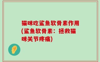 猫咪吃鲨鱼软骨素作用(鲨鱼软骨素：拯救猫咪关节疼痛)