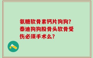 氨糖软骨素钙片狗狗？泰迪狗狗股骨头软骨受伤必须手术么？