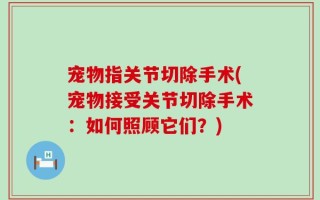 宠物指关节切除手术(宠物接受关节切除手术：如何照顾它们？)