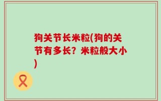 狗关节长米粒(狗的关节有多长？米粒般大小)