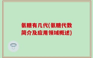 氨糖有几代(氨糖代数简介及应用领域概述)