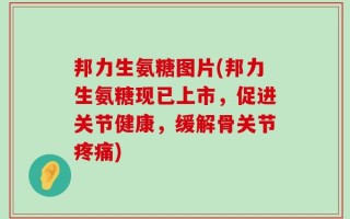 邦力生氨糖图片(邦力生氨糖现已上市，促进关节健康，缓解骨关节疼痛)