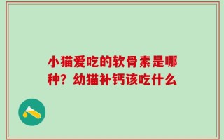小猫爱吃的软骨素是哪种？幼猫补钙该吃什么