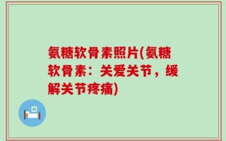 氨糖软骨素照片(氨糖软骨素：关爱关节，缓解关节疼痛)