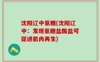 沈阳辽中氨糖(沈阳辽中：发现氨糖盐酸盐可促进肌肉再生)