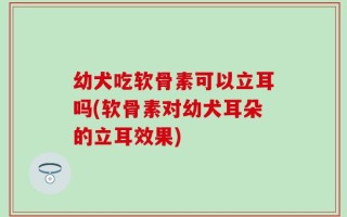幼犬吃软骨素可以立耳吗(软骨素对幼犬耳朵的立耳效果)