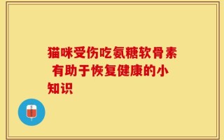猫咪受伤吃氨糖软骨素 有助于恢复健康的小知识