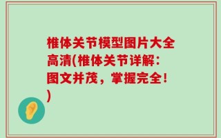 椎体关节模型图片大全高清(椎体关节详解：图文并茂，掌握完全！)