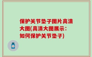 保护关节垫子图片高清大图(高清大图展示：如何保护关节垫子)