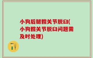 小狗后腿髋关节脱臼(小狗髋关节脱臼问题需及时处理)