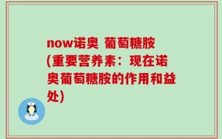 now诺奥 葡萄糖胺(重要营养素：现在诺奥葡萄糖胺的作用和益处)