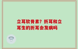 立耳软骨素？折耳和立耳生的折耳会发病吗
