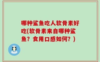 哪种鲨鱼吃人软骨素好吃(软骨素来自哪种鲨鱼？食用口感如何？)