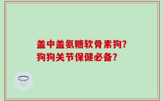 盖中盖氨糖软骨素狗？狗狗关节保健必备？