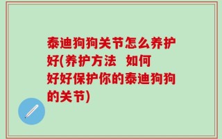 泰迪狗狗关节怎么养护好(养护方法  如何好好保护你的泰迪狗狗的关节)