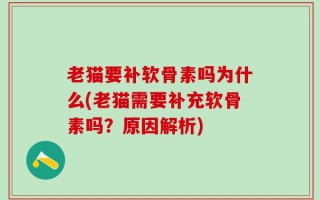 老猫要补软骨素吗为什么(老猫需要补充软骨素吗？原因解析)