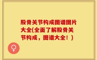 股骨关节构成图谱图片大全(全面了解股骨关节构成，图谱大全！)
