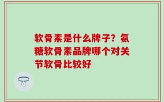软骨素是什么牌子？氨糖软骨素品牌哪个对关节软骨比较好