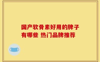 国产软骨素好用的牌子有哪些 热门品牌推荐