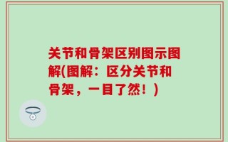 关节和骨架区别图示图解(图解：区分关节和骨架，一目了然！)