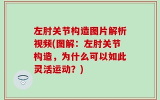 左肘关节构造图片解析视频(图解：左肘关节构造，为什么可以如此灵活运动？)
