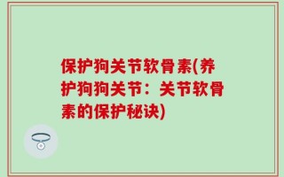保护狗关节软骨素(养护狗狗关节：关节软骨素的保护秘诀)