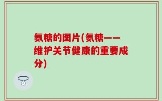 氨糖的图片(氨糖——维护关节健康的重要成分)