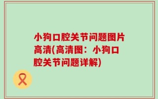 小狗口腔关节问题图片高清(高清图：小狗口腔关节问题详解)