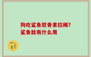 狗吃鲨鱼软骨素拉稀？鲨鱼肽有什么用