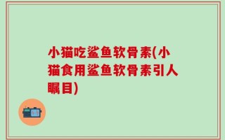小猫吃鲨鱼软骨素(小猫食用鲨鱼软骨素引人瞩目)