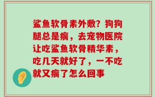 鲨鱼软骨素外敷？狗狗腿总是瘸，去宠物医院让吃鲨鱼软骨精华素，吃几天就好了，一不吃就又瘸了怎么回事