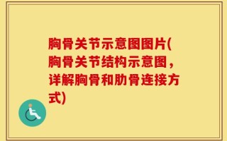 胸骨关节示意图图片(胸骨关节结构示意图，详解胸骨和肋骨连接方式)