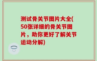 测试骨关节图片大全(50张详细的骨关节图片，助你更好了解关节运动分解)