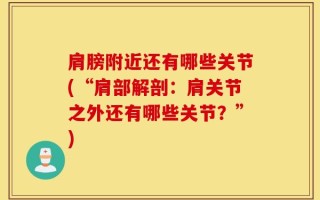 肩膀附近还有哪些关节(“肩部解剖：肩关节之外还有哪些关节？”)