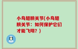 小鸟翅膀关节(小鸟翅膀关节：如何保护它们才能飞翔？)