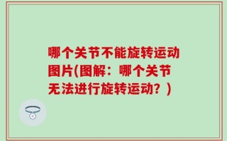 哪个关节不能旋转运动图片(图解：哪个关节无法进行旋转运动？)