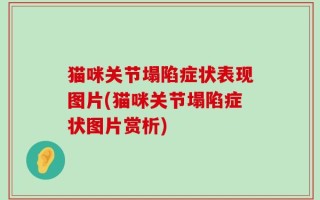 猫咪关节塌陷症状表现图片(猫咪关节塌陷症状图片赏析)