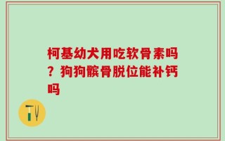 柯基幼犬用吃软骨素吗？狗狗髌骨脱位能补钙吗