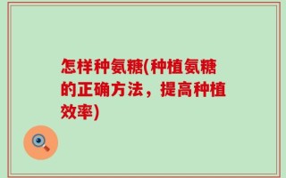 怎样种氨糖(种植氨糖的正确方法，提高种植效率)