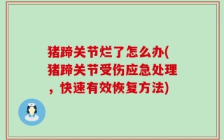 猪蹄关节烂了怎么办(猪蹄关节受伤应急处理，快速有效恢复方法)
